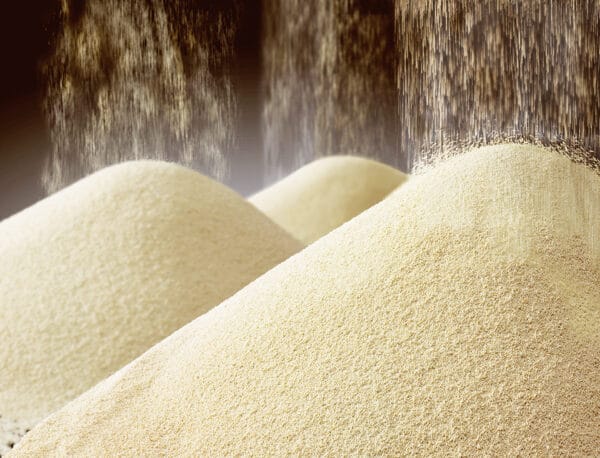 What is yeast used for?