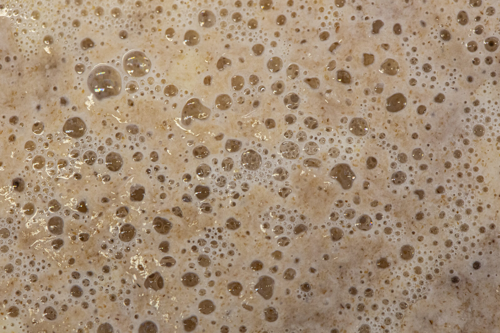 What is the role of yeast in fermentation?