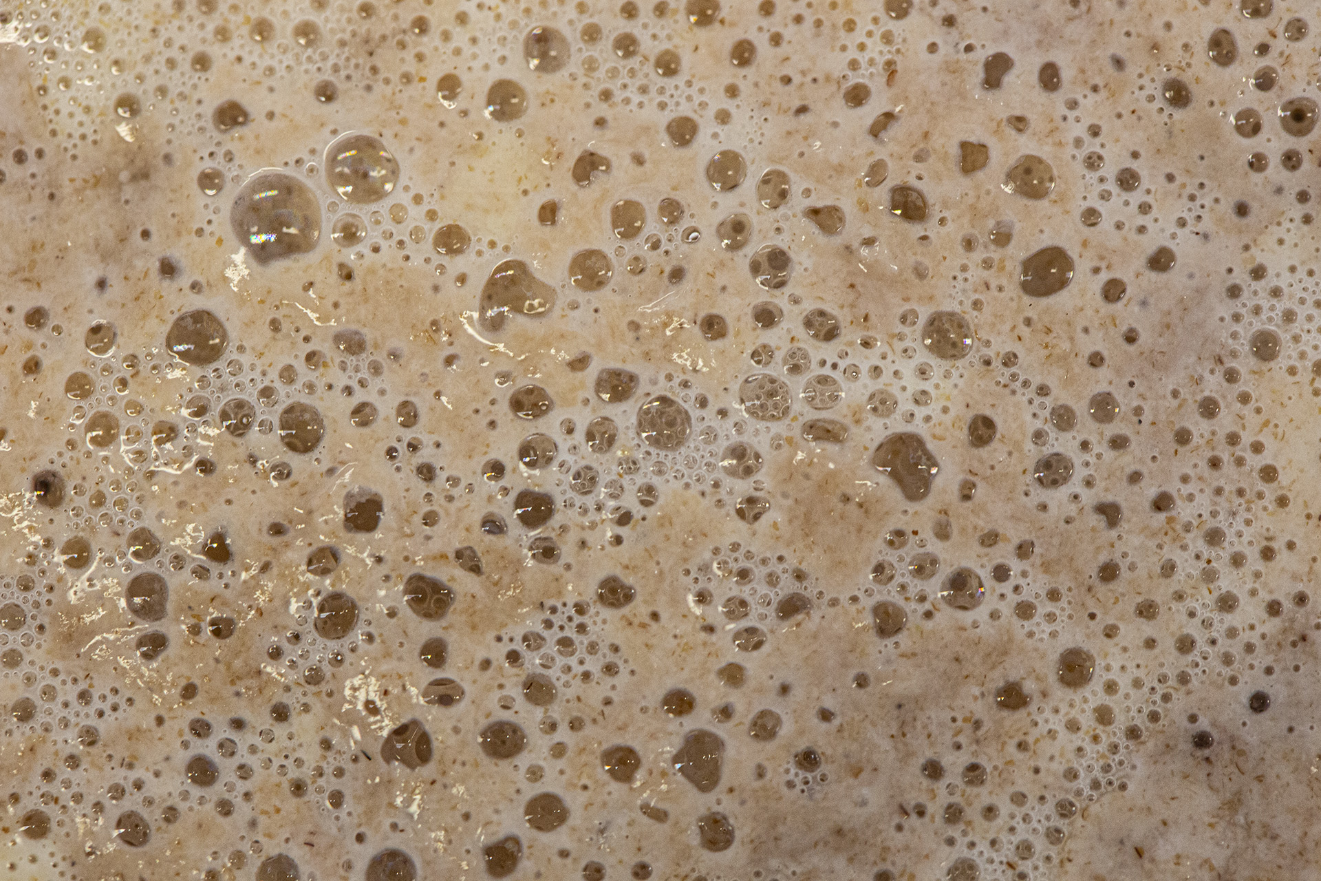 What is the role of yeast in fermentation? - Explore Yeast