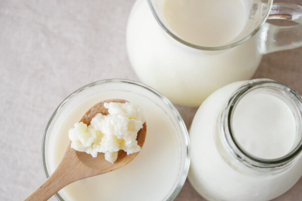 Organic probiotic milk kefir grains, Tibetan mushrooms on wooden spoon and kefir milk in glass containers