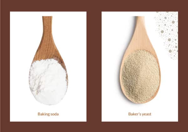 3 Differences Between Yeast and Baking Soda